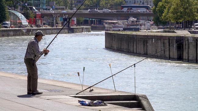 Ein Angler am Donaukanal.