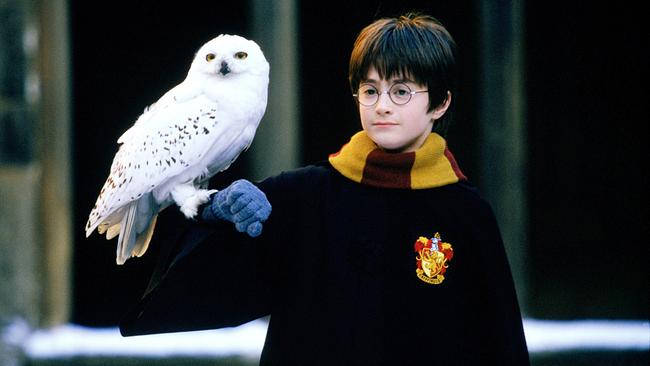 Harry Potter (Daniel Radcliffe) und Eule Hedwig