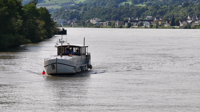 ein weißes Hausboot fährt auf der Donau