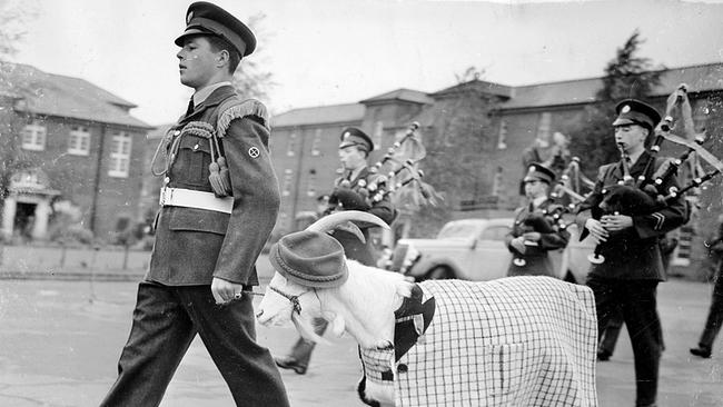 "Menschen & Mächte: Die Alliierten in Österreich (3) - Very British": Ein britischer Soldat marschiert mit Ziege an der Spitze einer Militärparade