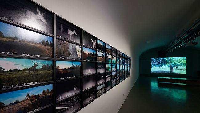 © Georg Mayer Chernobyl Safari, MAK