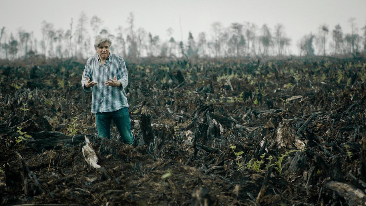 © ORF/E&A Film/Dominik Spritzendorfer Werner Boote geht auf verbranntem Regenwald