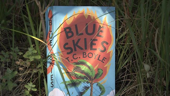 Cover "Blue Skies" - T.C. Boyle