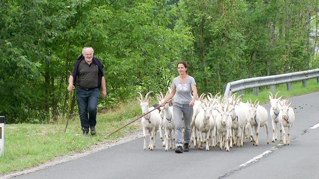Lojze Wieser und die Ziegenbäuerin Astrid Zerbst und ihre "Damen"