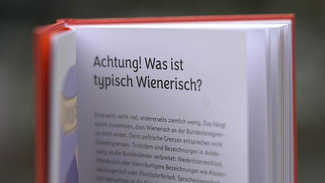 Buch "Wienerisch"