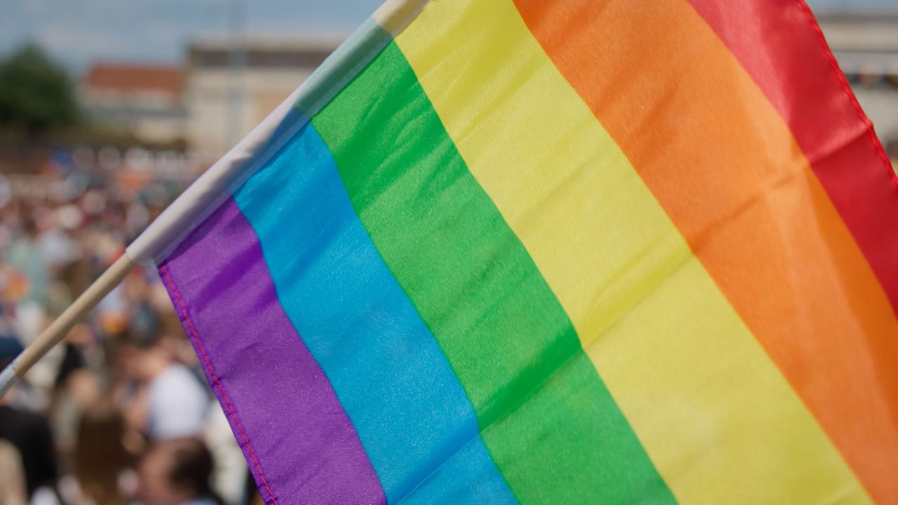 © ORF/styblo.tv productions Regenbogenflagge