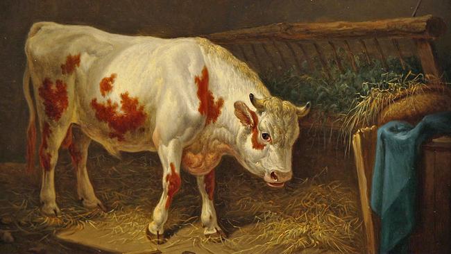 Ausstellungs  "Fleisch" Wien Museum