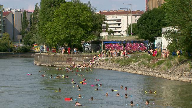 © ORF Schwimmverein Donaukanal Badende