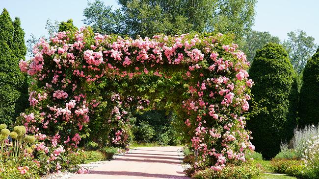 © Leopold Mayrhofer/Natur im Garten