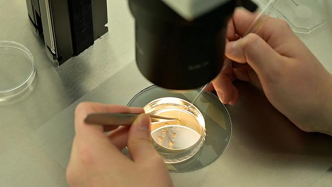 © APA/AFP/AFPTV/Yelim Lee Report 17.06. Social Egg Freezing