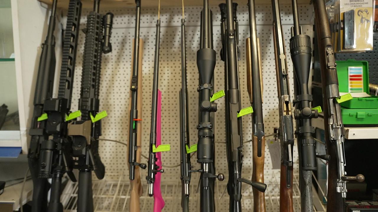 © ORF Report0807 Waffen1