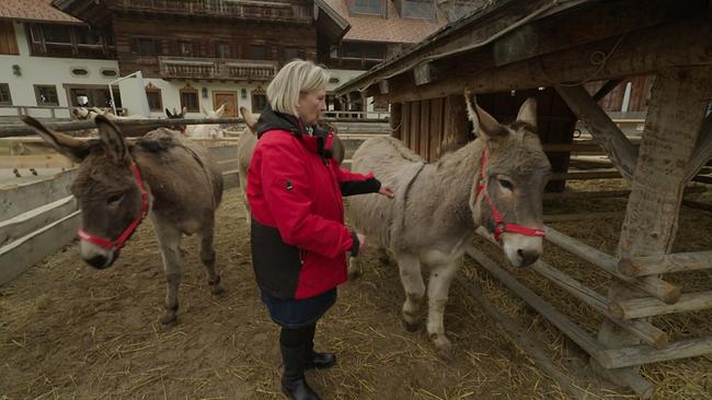 © ORF Gisela Pschenitschnig mit Eseln
