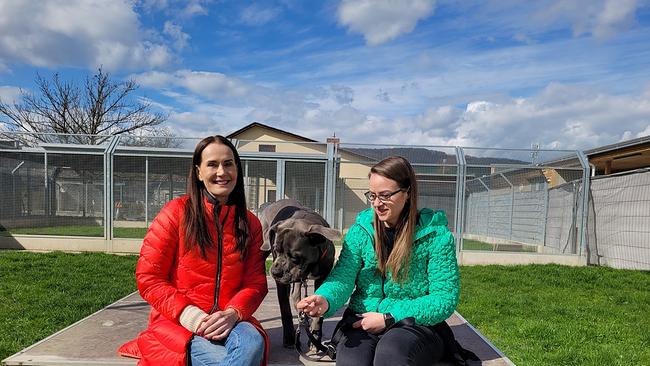 Maggie Entenfellner und Nora Sudra mit Hund