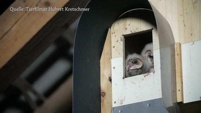© Hubert Kretschmer