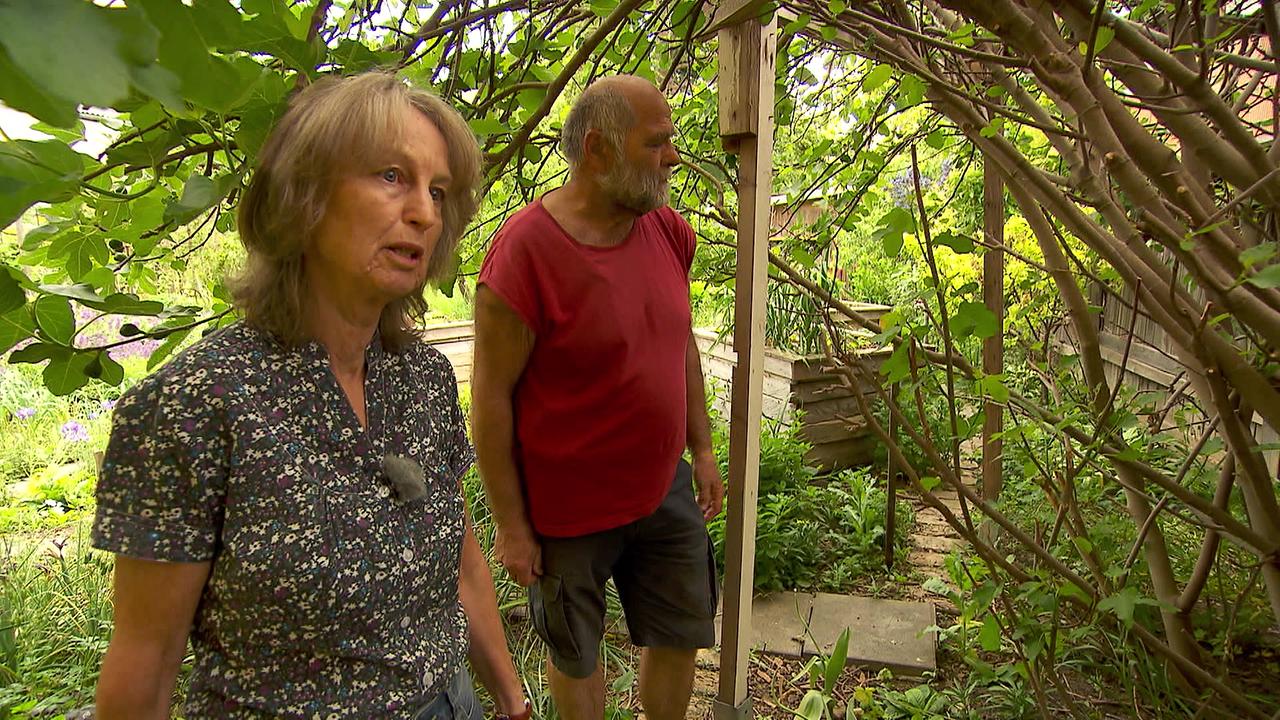 Das Ehepaar unter dem großen Feigenbaum ist zu sehen