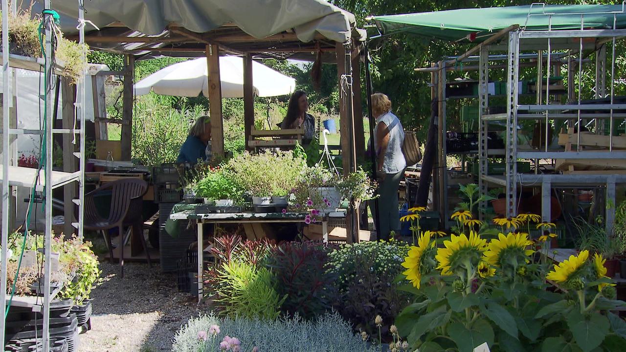 © ORF / Gerd Fellner Ein Blick in die Gärtnerei mit verschiedenen Pflanzen und Blumen auf den Tischen und in den Regalen
