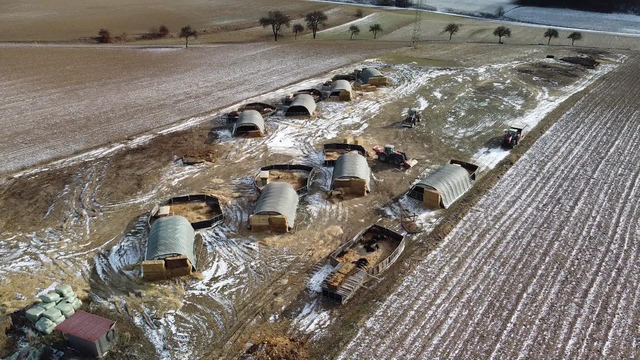 Das Bild zeigt den mobilen Schweinestall auf den Äckern des Landwirts