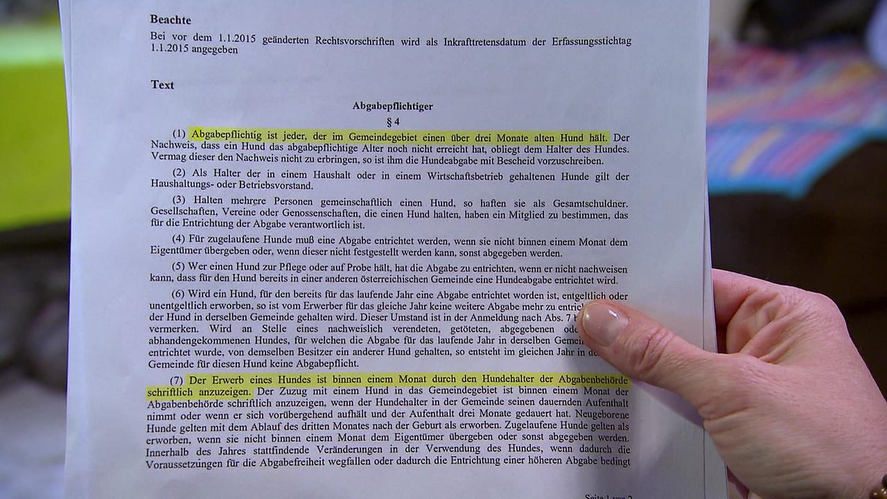 © ORF / Flora Drapal Der Gesetzestext der Abgabenvorschrift für Hundehalter ist zu sehen.