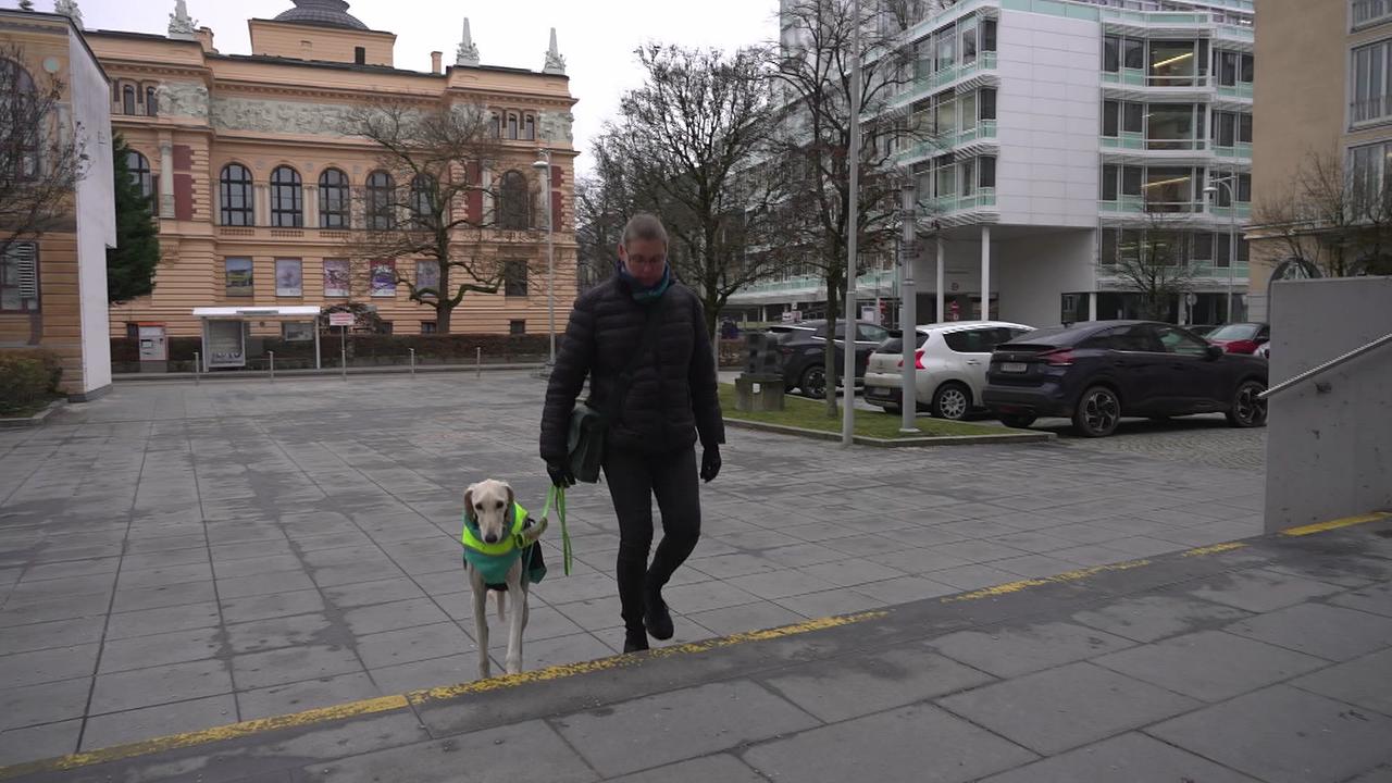 © ORF / Gabi Hanke Das Bild zeigt Frau Qu. mit ihrem Assistenzhund
