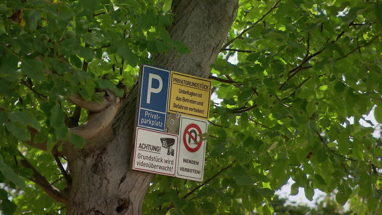 Das Bild zeigt das kleine Schild mit den Hinweisen des Parkverbots - befestigt an einem Baum