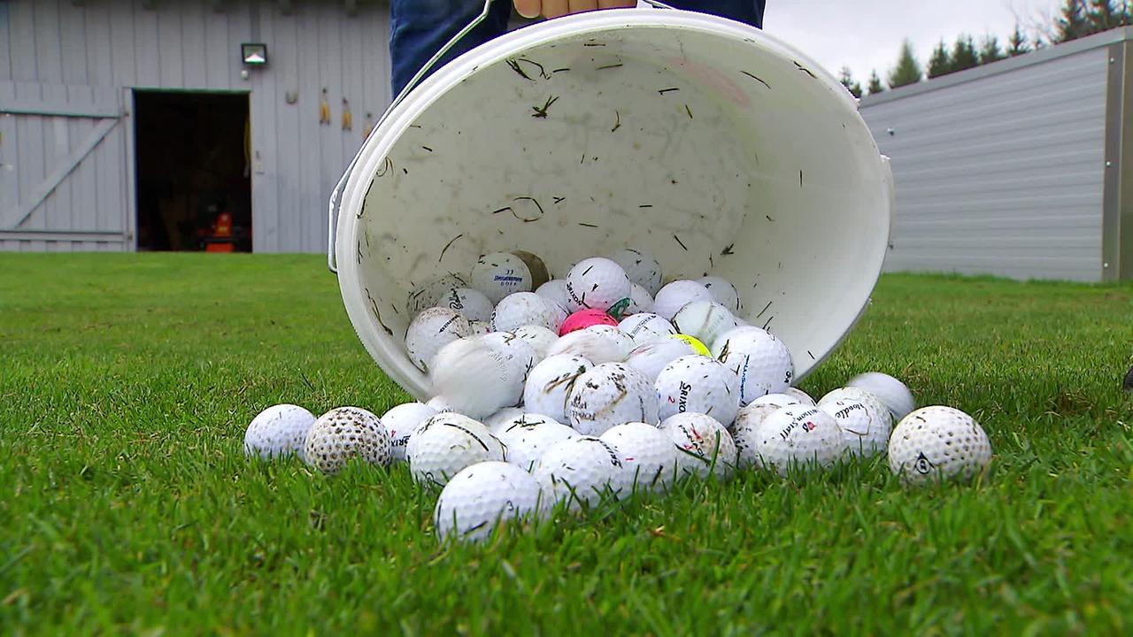 Am Bild ist ein Kübel mit 80 Golfbällen der im Garten der Familie L. ausgeleert wurde.