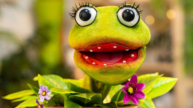 © ORF im Bild: Piratenpflanze Lila Grasgrün