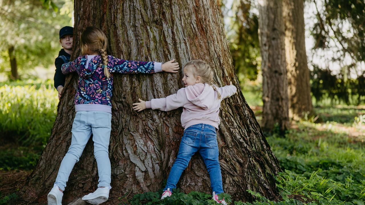 Drei Kinder umarmen einen dicken Baumstamm.