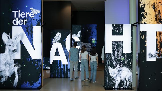 Im Bild: Besucher:innen gehen durch die Sonderausstellung "Tiere der Nacht". 