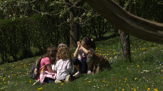 Vier Kinder und ein Hund sitzen im Gras vor einem großen Baum