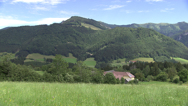 Ein Bauernhof umrahmt von Bergen im Hintergrund und Feldern im Vordergrund