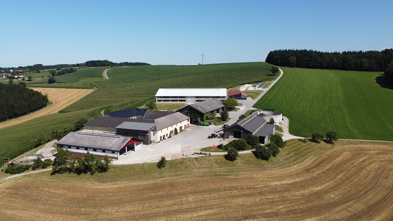 Luftaufnahme von einem modernen Milchviehbetrieb mit mehreren Stallungsanlagen und grünen Feldern um den Hof