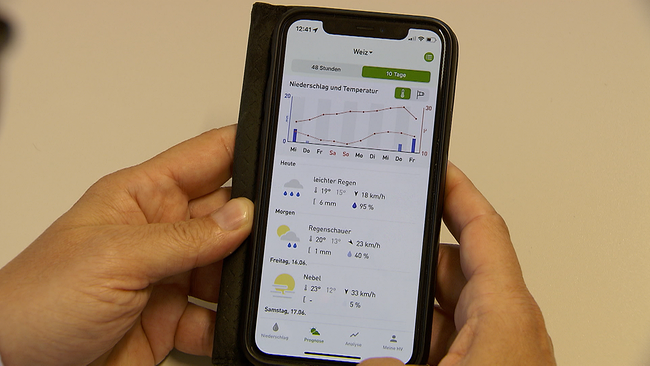 © ORF NÖ Zwei Hände halten ein Handy - darauf zu sehen ist eine Wettergrafik