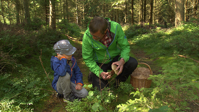 Eine erwachsene Person und ein Kind knien auf dem Waldboden vor einem Pilz, den sie gemeinsam begutachten