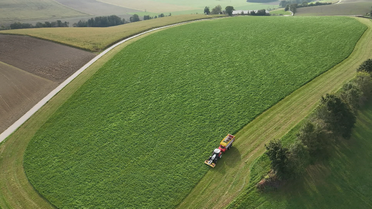 Luftaufnahme: Traktor fährt über grünes Feld