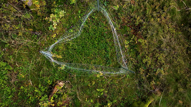 Weißes Herz, gespannt aus Fäden, mitten im Wald, Blick aus der Vogelperspektive
