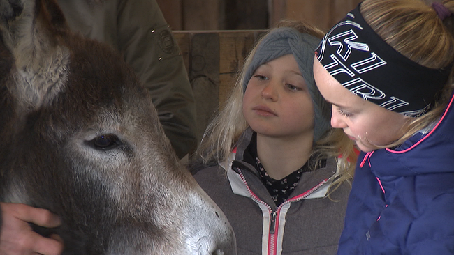 © ORF NÖ zwei Kinder vor einem grauen Esel. Beide sehen dem Tier direkt in die Augen