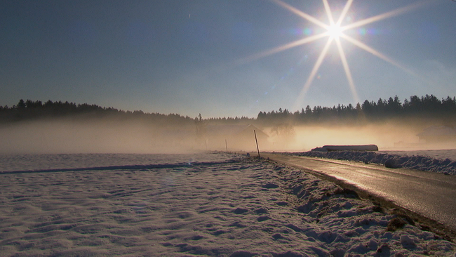 Schneelandschaft mit sanftem Nebelschleier und Sonnenschein