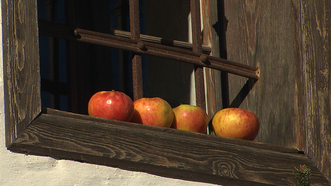 Vier rotbäckige Äpfel liegen ordentlich aufgereiht auf einer Fensterbank im Freien