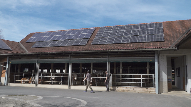 Kuhstall mit Photovoltaikanlage am Dach