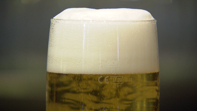 Bier mit Schaum in einem Bierglas, nur die obere Hälfte des Glases
