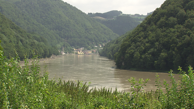 Landschaft mit Bergen, die vom Donaustrom durchzogen wird. Im Hintergrund die Oberösterreichische Kleinstadt Grein