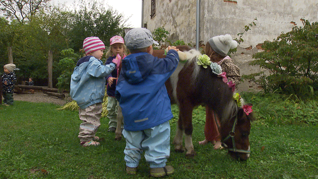 4 Kleinkinder putzen und streicheln ein Pony, das grast