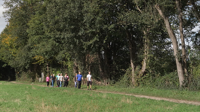 Wandergruppe spaziert auf Weg am Waldrand