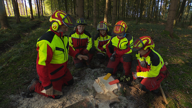 Vier Frauen und ein Mann knien vor einem Baumstumpf im Wald. Sie sehen gemeinsam auf die darauf liegenden Keile und Motorsägeblätter, mit denen der Baum zuvor gefällt wurde