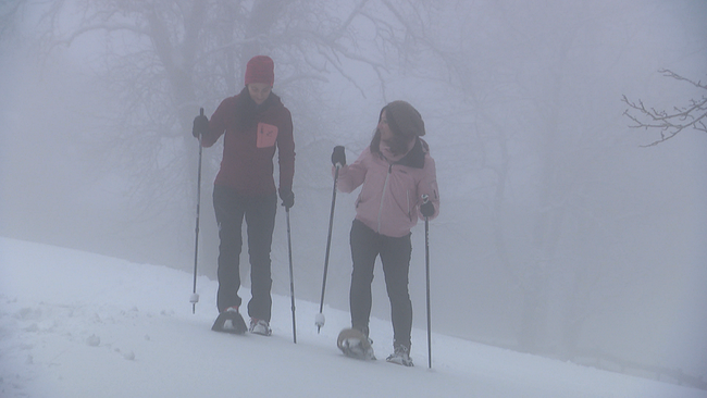 zwei Personen mit Schneeschuhen und Wanderstecken gehen bei nebliger Sicht durch den tiefen Neuschnee