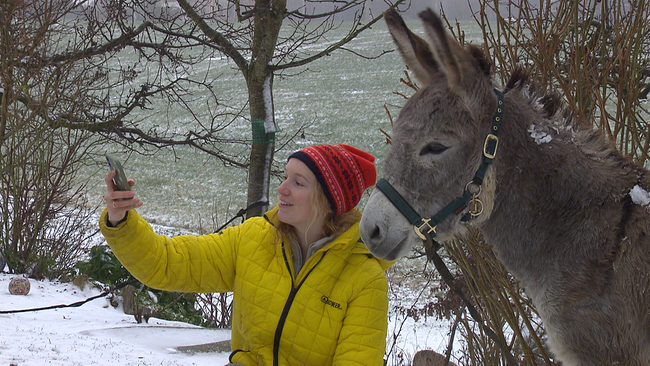 Frau in gelber Jacke fotografiert sich selbst mit einem Esel in Winterlandschaft