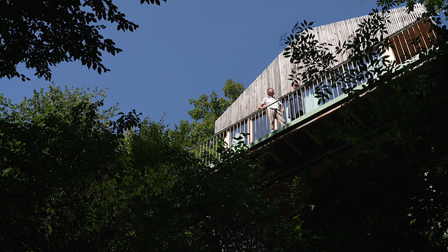 Blick von unten auf Baumkronen und modernes Holzhaus mit Balkon