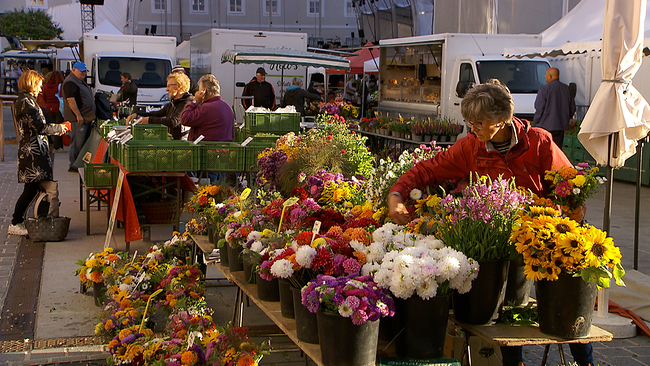 Mehrere Personen sehen sich an hübsch dekorierten Ständen auf einem Bauernmarkt Blumen, Gemüse und frisches Obst an