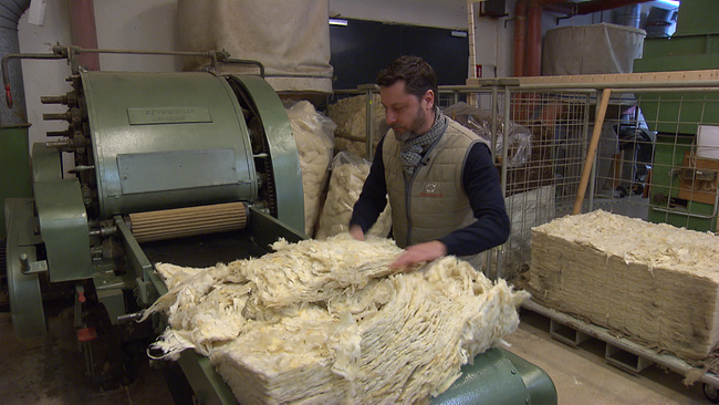 Mann verarbeitet Schafwolle zu Decke
