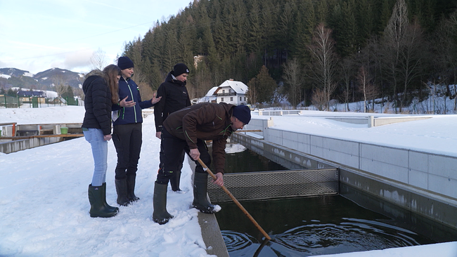 4 Menschen stehen vor Fischzuchtbecken